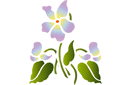 Stenciler olika motiv blommor - Viola 70