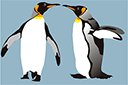 Ritmallar schabloner djur - Fyra pingviner