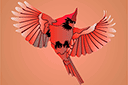 Ritmallar schabloner djur - Röd kardinal 3
