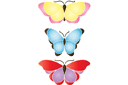 Schabloner med fjärilar - Stora fjärilar