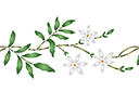 Flora bårder med färdiga schabloner - Bård av Jasmine