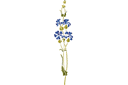 Stenciler olika motiv blommor - Stor blåklint