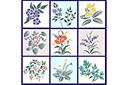 Stenciler olika motiv blommor - En uppsättning blommor 51