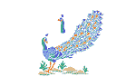 Schabloner på trädgårdstema - Peacock 3