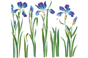 Stenciler olika motiv blommor - En blomma bädd med iris