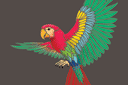 Schabloner djungel värld - Stor papegoja