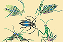 Schabloner med fjärilar - Fem insekter