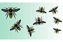 Stenciler olika små varelser - Svärm av bin