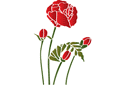 Stenciler olika motiv blommor - Oriental Poppies