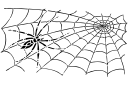 Stenciler olika små varelser - En mager spindel på ett nät