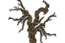 Väggschabloner med träderna - Knäckt träd