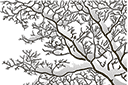 Väggschabloner med träderna - Trädgren inslagna i snö