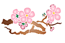 Stenciler olika motiv blommor - Körsbärsblommor på en gren 08a
