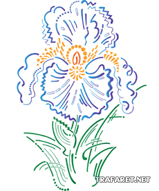 Enorma iris - schablon för dekoration