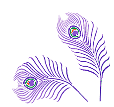 Påfågelfjädrar - schablon för dekoration