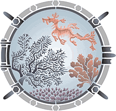 Dragon in the hyttventil - schablon för dekoration
