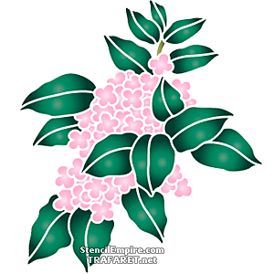 Rosa hortensia gren - schablon för dekoration