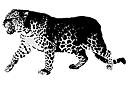 Leopard - ritmallar schabloner djur