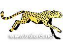 Cheetah - ritmallar schabloner djur