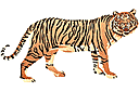 Tiger - levande skogen väggdekor schabloner i barnrum