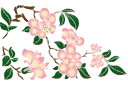 Kinesisk magnolia - schabloner på österländskt tema 