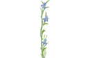 Stora Iris - stenciler olika motiv blommor