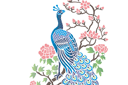 Peacock och sakura - stenciler olika motiv blommor
