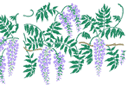 Blooming wisteria - schabloner på trädgårdstema