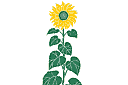 Sunflower - schabloner på trädgårdstema