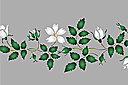 Vit nypon - gräns - flora bårder med färdiga schabloner