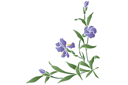 Iris vinkel - stenciler olika motiv blommor