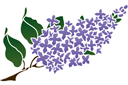 Lilac gren - schabloner på trädgårdstema