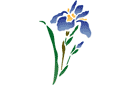Oriental Iris - stenciler olika motiv blommor