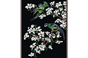 Papegojor på Magnolia - schabloner på österländskt tema 