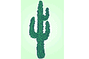 Kaktus - latinamerikansk schabloner