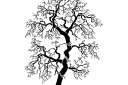 Träd i gotisk stil 3 - väggschabloner med träderna