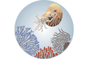 Skaldjur - schabloner havsbilder