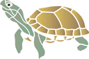 Sköldpadda 02 - ritmallar schabloner djur