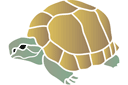 Sköldpadda 03 - ritmallar schabloner djur
